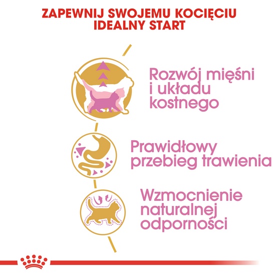 Royal Canin British Shorthair Kitten karma sucha dla kociąt, do 12 miesiąca, rasy brytyjski krótkowłosy 400g - obrazek 5