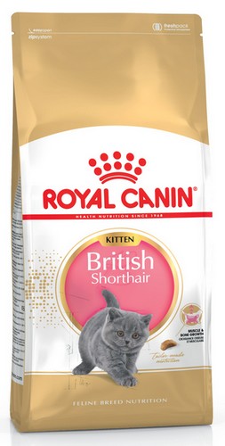 Royal Canin British Shorthair Kitten karma sucha dla kociąt, do 12 miesiąca, rasy brytyjski krótkowłosy 2kg - obrazek 2