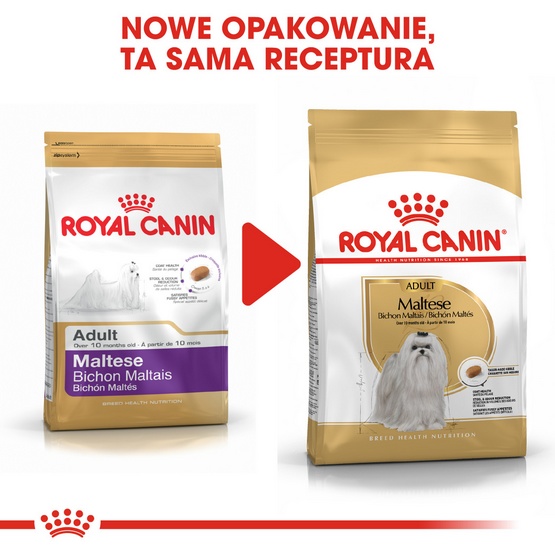 Royal Canin Maltese Adult karma sucha dla psów dorosłych rasy maltańczyk 500g - obrazek 3