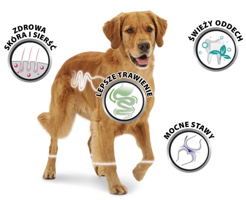 8in1 Fillets Pro Dental - przekąska na świeży oddech 80g - obrazek 3