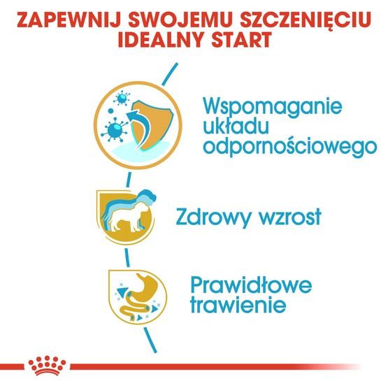 Royal Canin Jack Russell Terrier Puppy karma sucha dla szczeniąt do 10 miesiąca, rasy jack russell terrier 1,5kg - obrazek 5