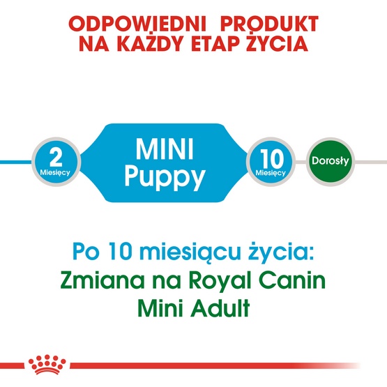 Royal Canin Mini Puppy karma sucha dla szczeniąt, od 2 do 10 miesiąca życia, ras małych 800g - obrazek 4