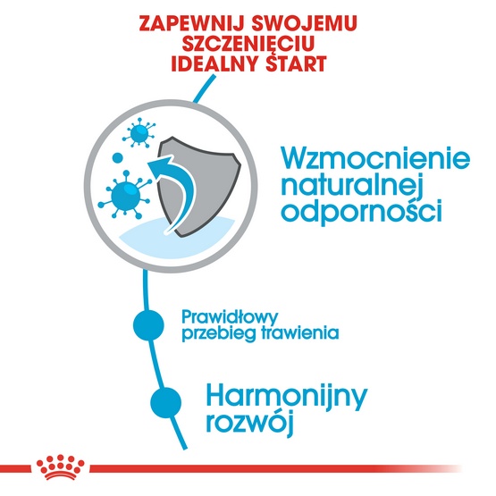 Royal Canin Mini Puppy karma sucha dla szczeniąt, od 2 do 10 miesiąca życia, ras małych 800g - obrazek 5