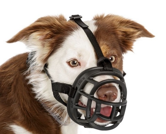 Baskerville Kaganiec Ultra-4 czarny - obrazek 5