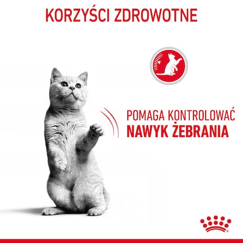 Royal Canin Appetite Control Care karma sucha dla kotów dorosłych, domagających się jedzenia 400g - obrazek 3