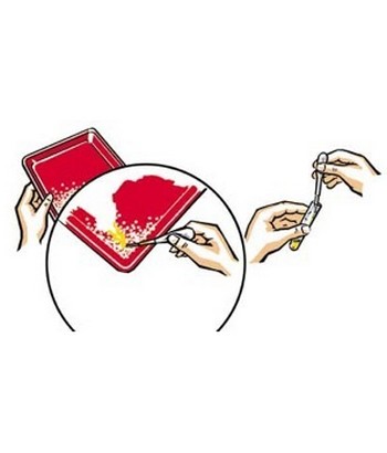 Podłoże Katkor do pobierania próbek moczu - obrazek 2