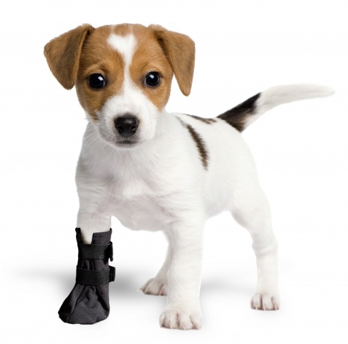 Grande Finale But Softshell na chorą łapę r.1 - 4cm czarny - obrazek 2