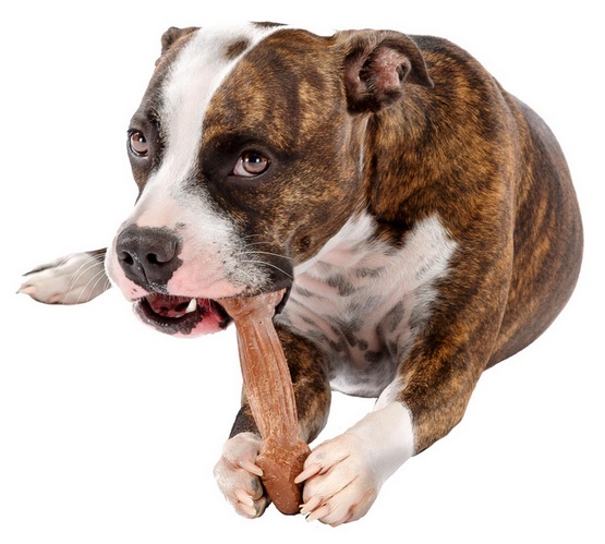 Ferplast GoodBite Natural SinglePack Wołowina 1szt M 70g - obrazek 3