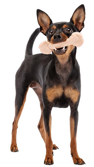 Ferplast GoodBite Natural SinglePack Szynka 1szt M 70g - obrazek 3