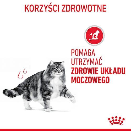 Royal Canin Urinary Care karma mokra dla kotów dorosłych, ochrona dolnych dróg moczowych saszetka 85g - obrazek 2