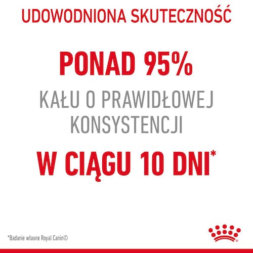 Royal Canin Digestive Care karma sucha dla kotów dorosłych, wspomagająca przebieg trawienia 400g - obrazek 2