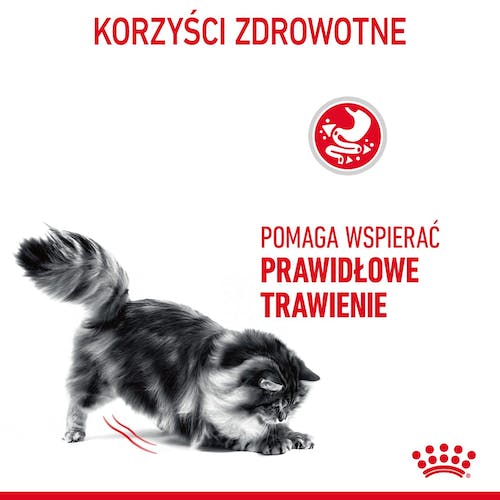 Royal Canin Digestive Care karma sucha dla kotów dorosłych, wspomagająca przebieg trawienia 400g - obrazek 3