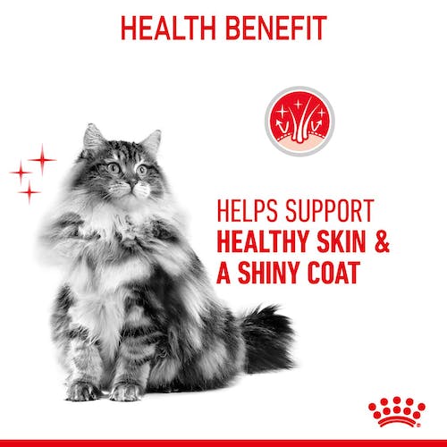 Royal Canin Hair&Skin Care karma sucha dla kotów dorosłych, lśniąca sierść i zdrowa skóra 400g - obrazek 5
