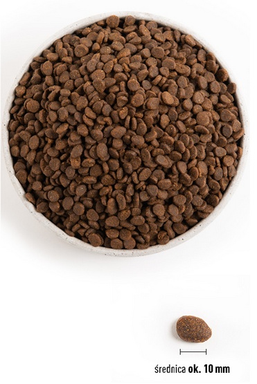 Orijen Regional Red Cat 340g - obrazek 2