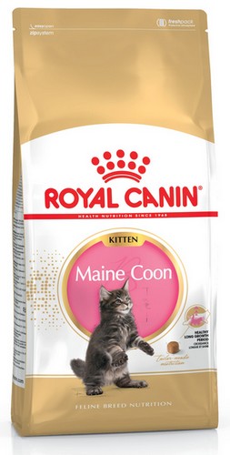 Royal Canin Maine Coon Kitten karma sucha dla kociąt, do 15 miesiąca, rasy maine coon 2kg - obrazek 2
