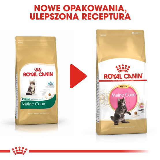Royal Canin Maine Coon Kitten karma sucha dla kociąt, do 15 miesiąca, rasy maine coon 2kg - obrazek 3