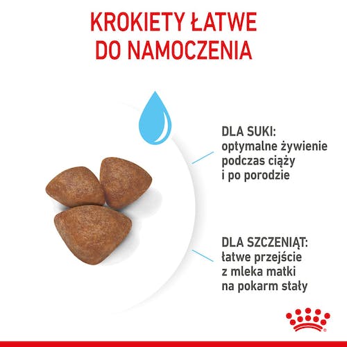 Royal Canin Mini Starter Mother&Babydog karma sucha dla szczeniąt do 2 miesiąca i suk karmiących ras małych 1kg - obrazek 4
