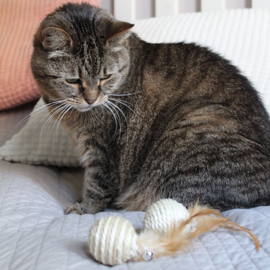 Dingo Piłki sizalowe 2szt - obrazek 2