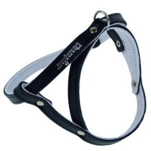 Champion Szelki 50 czarne [SD]