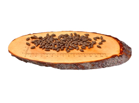 Carnilove Cat Salmon Sensitive & Long Hair - łosoś 2kg - obrazek 2