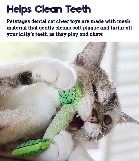 Petstages Miętowa strzała PS335 - obrazek 2