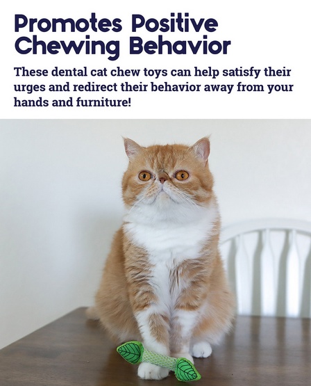 Petstages Miętowa strzała PS335 - obrazek 4