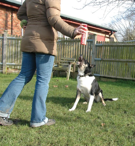 Pet Corrector 200ml - obrazek 3