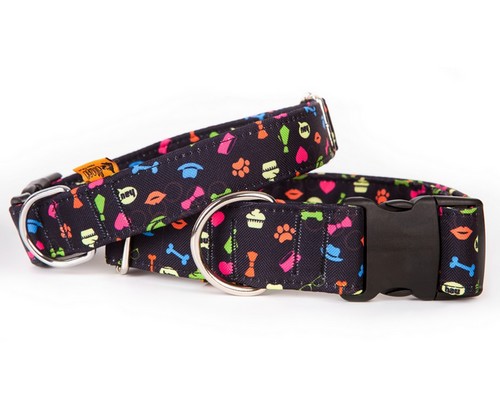 Dingo Obroża regulowana America Alabama 4,0cm/75cm - obrazek 5