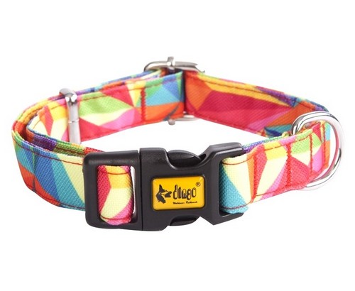 Dingo Obroża regulowana America Kolorado 4,0cm/75cm - obrazek 2