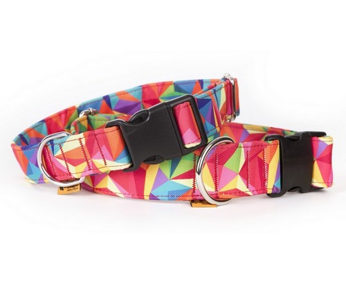 Dingo Obroża regulowana America Kolorado 4,0cm/75cm - obrazek 5