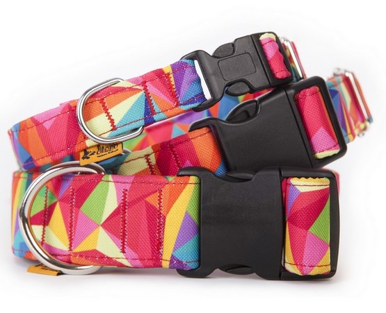 Dingo Obroża regulowana America Kolorado 4,0cm/75cm - obrazek 6