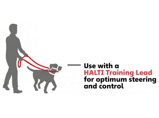 Halti Kantarek - obroża uzdowa rozmiar 4 czerwona - obrazek 6