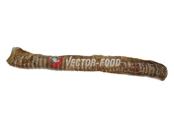 Vector-Food Tchawica wołowa cała 1szt/35cm - obrazek 2