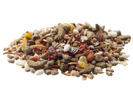 Versele-Laga Rat Nature pokarm dla szczura 700g - obrazek 2