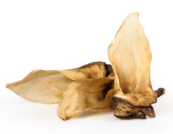 Balto Ucho sarny 5szt - obrazek 2