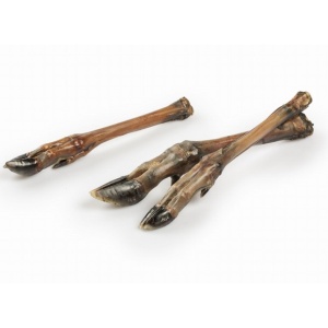 Balto Racica sarny 5szt