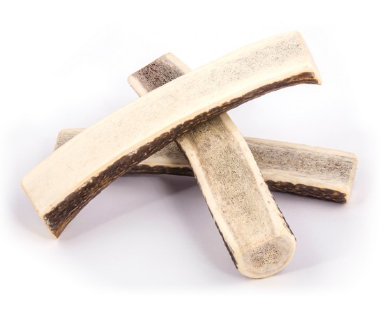 4DOGS Gryzak z poroża M easy - obrazek 6