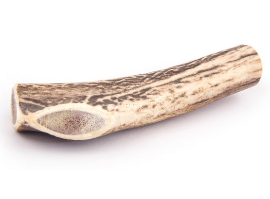 4DOGS Gryzak z poroża XL hard - obrazek 4