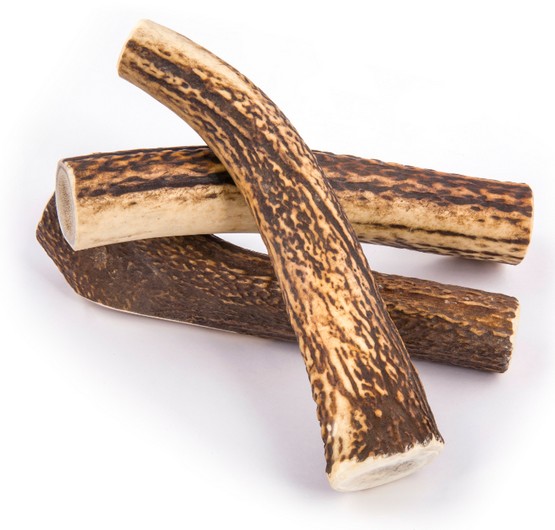 4DOGS Gryzak z poroża XL hard - obrazek 5