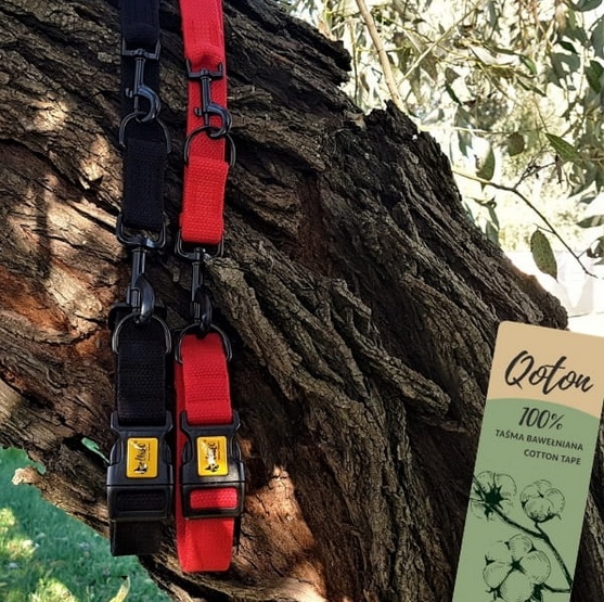 Dingo Obroża regulowana z taśmy bawełnianej 2,5x55cm czerwona - obrazek 2