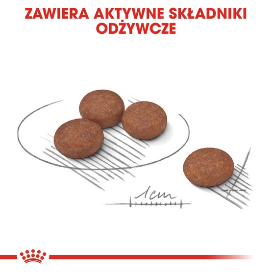 Royal Canin Mini Digestive Care karma sucha dla psów dorosłych, ras małych o wrażliwym przewodzie pokarmowym 1kg - obrazek 5