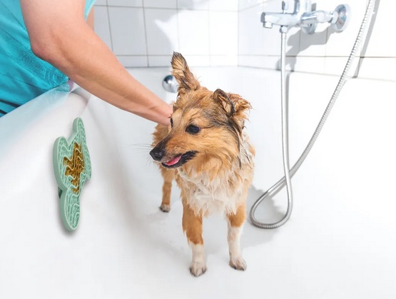 Flamingo Lick Pad Mata antystresowa S zielona - obrazek 5