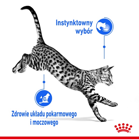 Royal Canin Indoor Sterilised Jelly karma mokra dla kotów dorosłych sterylizowanych, przebywających w domu saszetka 85g - obrazek 3