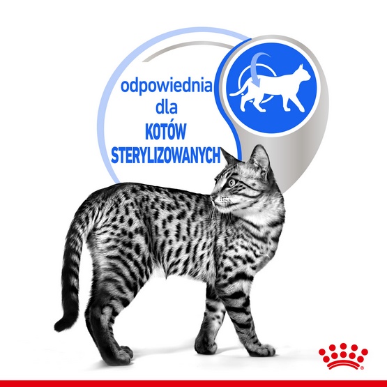 Royal Canin Indoor Sterilised Jelly karma mokra dla kotów dorosłych sterylizowanych, przebywających w domu saszetka 85g - obrazek 4