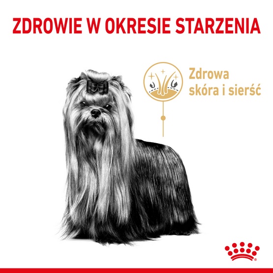 Royal Canin Yorkshire Terrier Adult 8+ karma sucha dla psów starszych rasy yorkshire terrier 1,5kg - obrazek 4