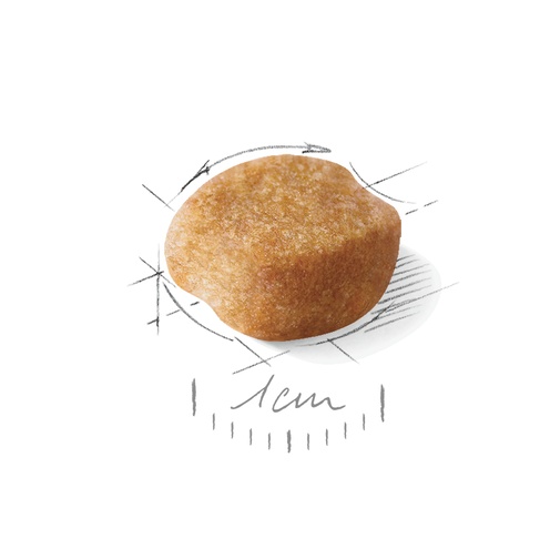 Royal Canin Yorkshire Terrier Adult 8+ karma sucha dla psów starszych rasy yorkshire terrier 1,5kg - obrazek 5