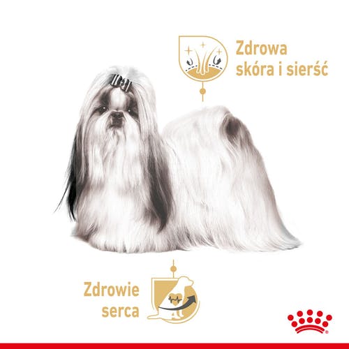 Royal Canin Shih Tzu Adult karma mokra dla psów dorosłych rasy shih tzu saszetka 85g - obrazek 3