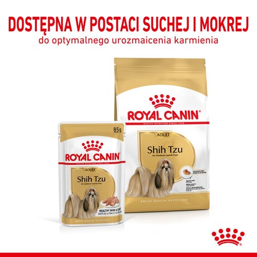 Royal Canin Shih Tzu Adult karma mokra dla psów dorosłych rasy shih tzu saszetka 85g - obrazek 4