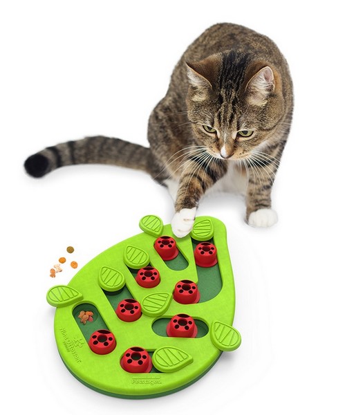 Nina Ottosson Cat Buggin' Out Puzzle & Play - gra edukacyjna dla kotów - obrazek 4