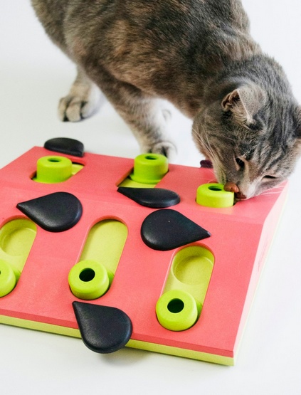 Nina Ottosson Cat Melon Madness Puzzle & Play - gra edukacyjna dla kotów - obrazek 6